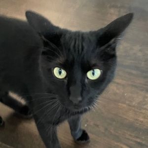 Meet your Posher, Joanne